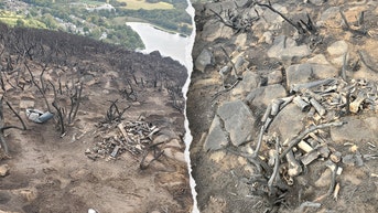 Mysterious pile of bones found near popular landmark triggers urgent investigation - Fox News