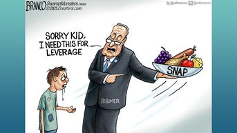 Political cartoons of the day - Fox News