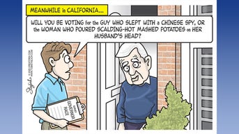 Political cartoons of the day - Fox News