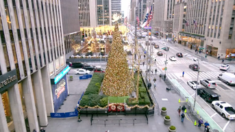 'All-American Christmas Tree' brings holiday cheer to FOX Square - Fox News
