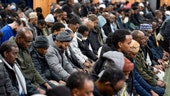 Somali immigrants allegedly bilked Minnesota welfare system for hundreds of millions - Fox News
