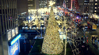 'All-American Christmas Tree' brings holiday cheer to FOX Square - Fox News
