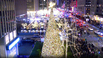 'All-American Christmas Tree' brings holiday cheer to FOX Square - Fox News