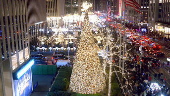'All-American Christmas Tree' brings holiday cheer to FOX Square - Fox News