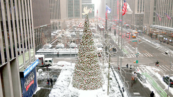 'All-American Christmas Tree' brings holiday cheer to FOX Square - Fox News