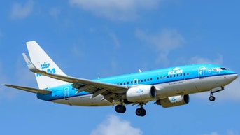 Doctor's family says airline tried to silence them over bed bug bites - Fox News