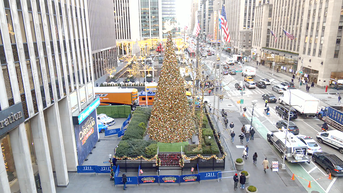 'All-American Christmas Tree' brings holiday cheer to FOX Square - Fox News