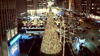 'All-American Christmas Tree' brings holiday cheer to FOX Square - Fox News