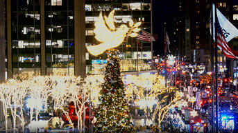 'All-American Christmas Tree' brings holiday cheer to FOX Square - Fox News