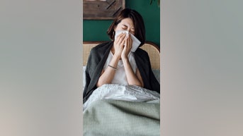 Where the new FLU variant is spreading - Fox News