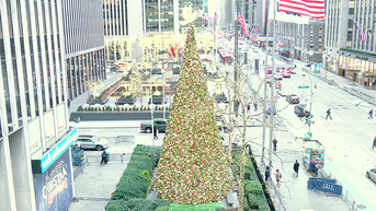 'All-American Christmas Tree' brings holiday cheer to FOX Square - Fox News