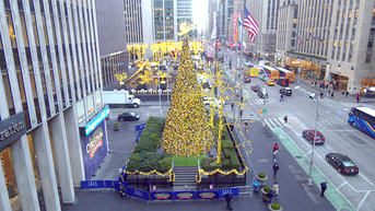 'All-American Christmas Tree' brings holiday cheer to FOX Square - Fox News