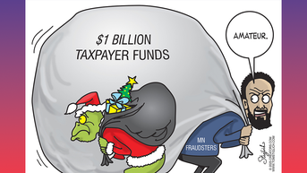 Political cartoons of the day - Fox News