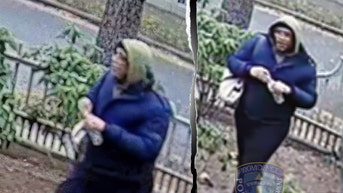 Police release photos of person 'in proximity' to Brown shooting person of interest - Fox News