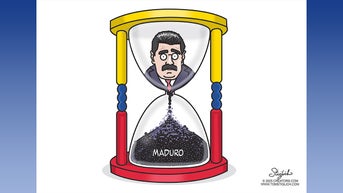 Political cartoons of the day - Fox News