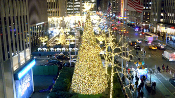 'All-American Christmas Tree' brings holiday cheer to FOX Square - Fox News