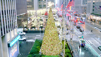 'All-American Christmas Tree' brings holiday cheer to FOX Square - Fox News