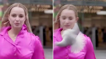 Journalist keeps filming after unexpected bird strike leaves scar - Fox News