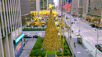 'All-American Christmas Tree' brings holiday cheer to FOX Square - Fox News