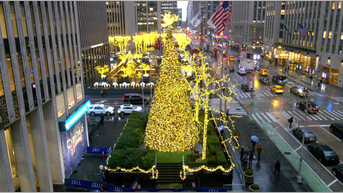 'All-American Christmas Tree' brings holiday cheer to FOX Square - Fox News