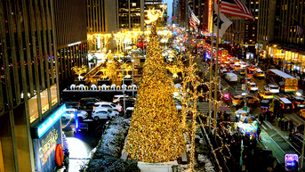 'All-American Christmas Tree' brings holiday cheer to FOX Square - Fox News