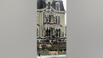 Tourists visit Christmas movie HOUSES - Fox News