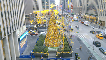 'All-American Christmas Tree' brings holiday cheer to FOX Square - Fox News