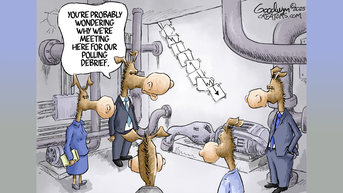 Political cartoons of the day - Fox News