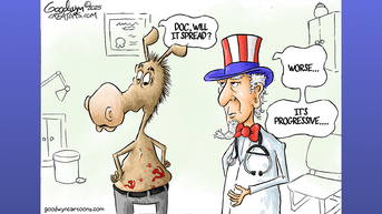 Political cartoons of the day - Fox News