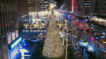 'All-American Christmas Tree' brings holiday cheer to FOX Square - Fox News