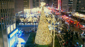 'All-American Christmas Tree' brings holiday cheer to FOX Square - Fox News