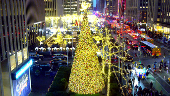 'All-American Christmas Tree' brings holiday cheer to FOX Square - Fox News