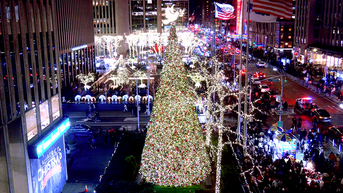 'All-American Christmas Tree' brings holiday cheer to FOX Square - Fox News