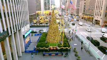 'All-American Christmas Tree' brings holiday cheer to FOX Square - Fox News