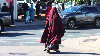 Burgundy birka - Fox News