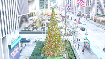 'All-American Christmas Tree' brings holiday cheer to FOX Square - Fox News