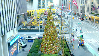 'All-American Christmas Tree' brings holiday cheer to FOX Square - Fox News