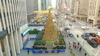 'All-American Christmas Tree' brings holiday cheer to FOX Square - Fox News