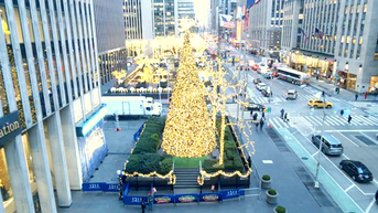 'All-American Christmas Tree' brings holiday cheer to FOX Square - Fox News