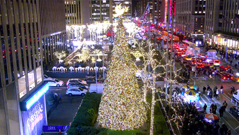 'All-American Christmas Tree' brings holiday cheer to FOX Square - Fox News