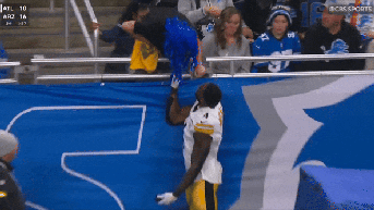 Steelers' star wide receiver takes swing at Lions fan during game in Detroit - Fox News