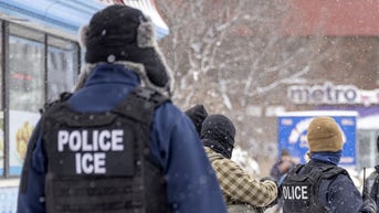 ICE responds to reporter who said MN daycares may invoke 'stand-your-ground laws' - Fox News