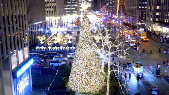 'All-American Christmas Tree' brings holiday cheer to FOX Square - Fox News