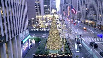 'All-American Christmas Tree' brings holiday cheer to FOX Square - Fox News