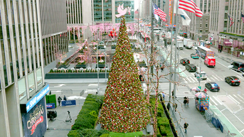 'All-American Christmas Tree' brings holiday cheer to FOX Square - Fox News