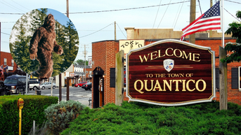 Marines en zona restringida de entrenamiento militar informan haber visto a Bigfoot - Fox News