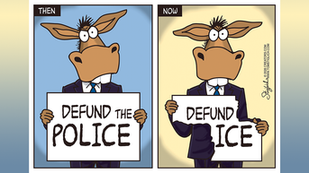 Political cartoons of the day - Fox News