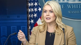 Leavitt torches journalist as 'left-wing activist' in tense White House exchange - Fox News