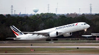 Jordanian national's invalid ticket leads to dramatic plane evacuation in Arizona - Fox News