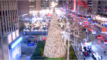 'All-American Christmas Tree' brings holiday cheer to FOX Square - Fox News